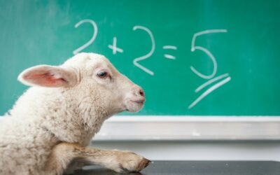 Vous utilisez mal votre cerveau : et personne ne vous l’a jamais vraiment expliqué