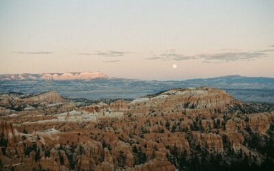 Neurosciences en Afrique, ce que le cerveau du continent révèle et ce que la science a trop longtemps ignoré