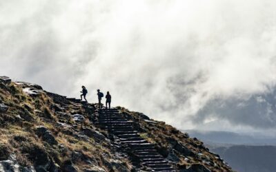 Les différents types de leaders : comprendre, se situer, évoluer